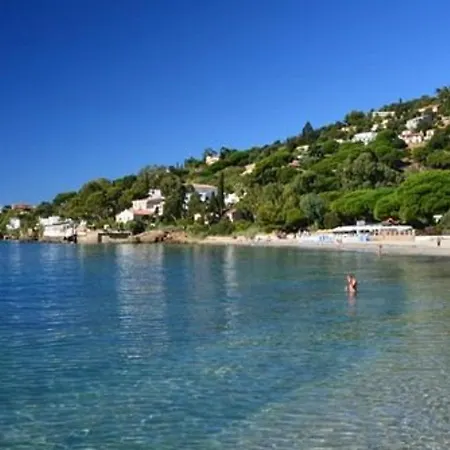 Avec Terrasse Et Parking, A 250 M De La D'aiguebelle, - Fr-1-251-187 Apartment Le Lavandou