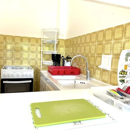 Apartament Avec Terrasse Et Parking, A 250 M De La D'aiguebelle, - Fr-1-251-187